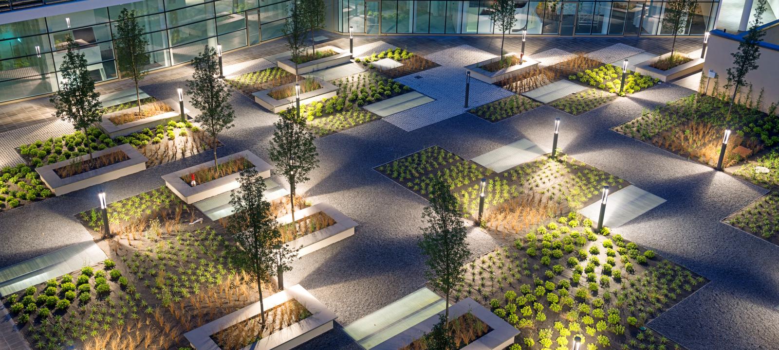Illuminated courtyard with Sedum plant beds and small trees at night
