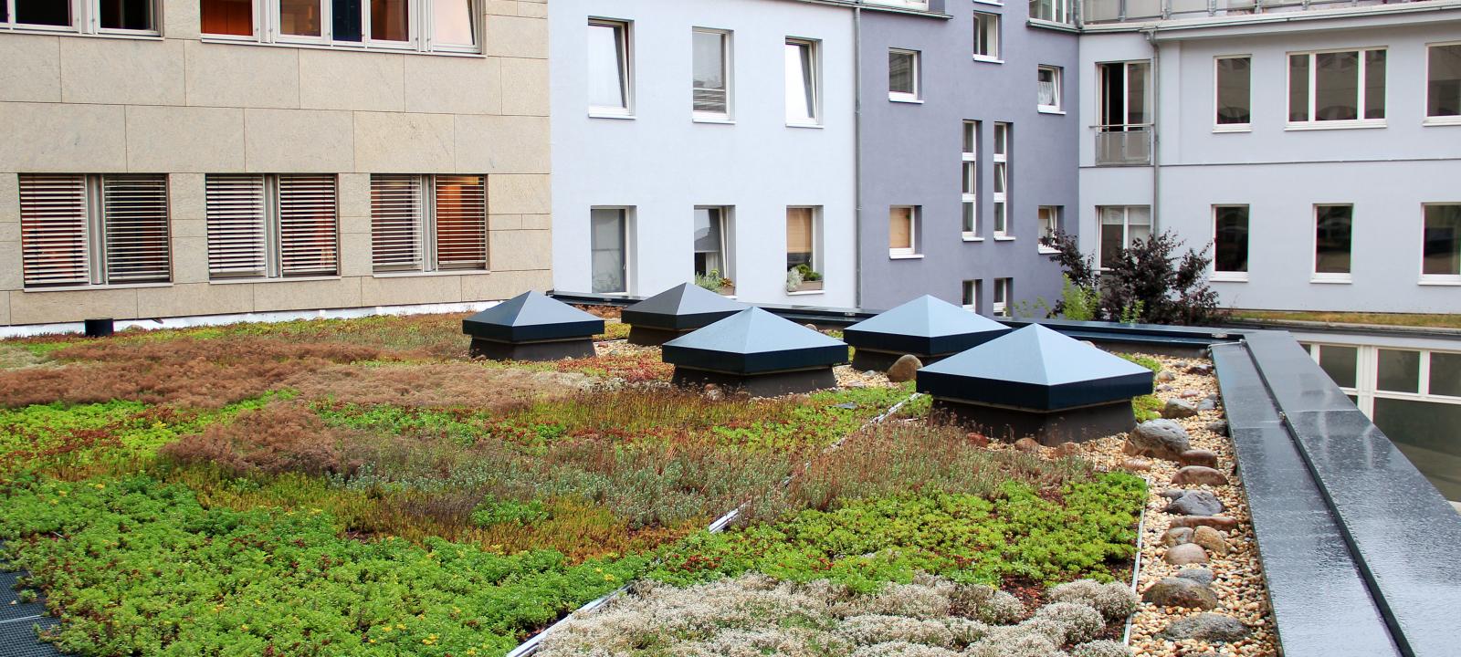Green roof during rainfall