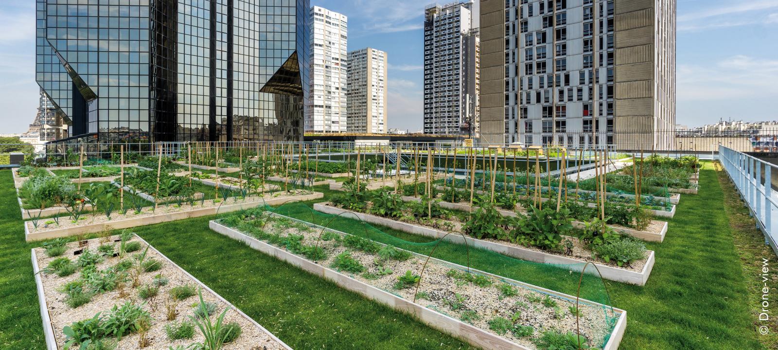 Urban rooftop farming