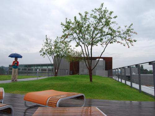 Woman with an umbrella in the rain on a green roof