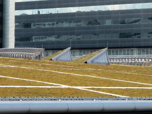 Green roof with skylights and photovoltaics